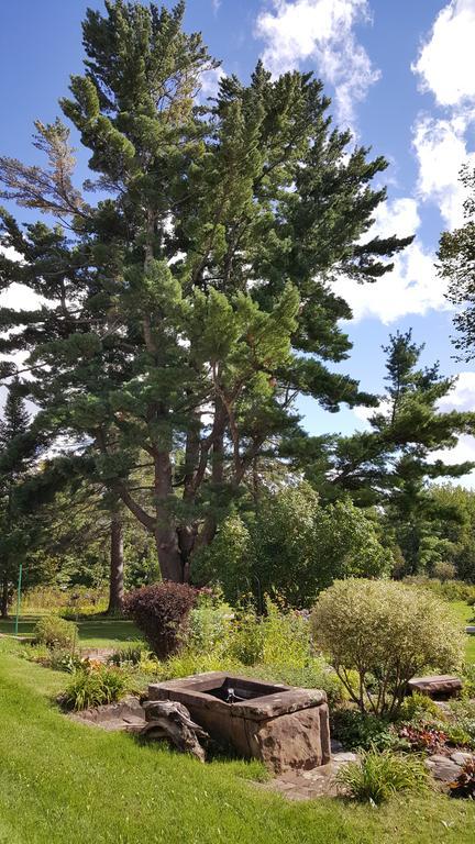 Pinehurst Inn Bed & Breakfast Bayfield Extérieur photo