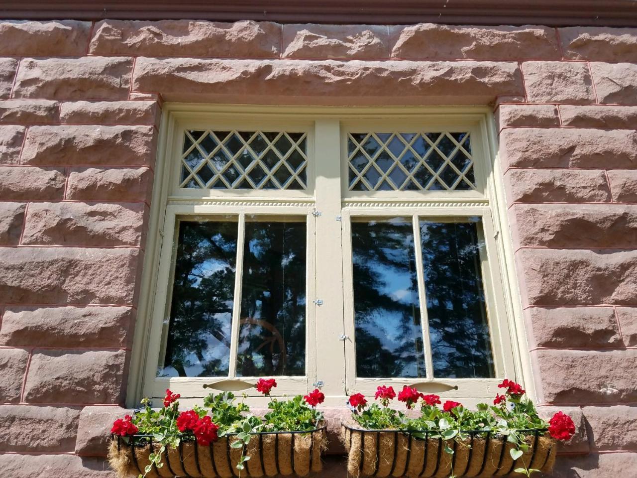 Pinehurst Inn Bed & Breakfast Bayfield Extérieur photo