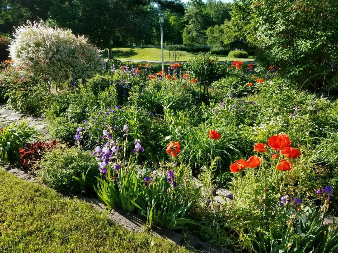 Pinehurst Inn Bed & Breakfast Bayfield Extérieur photo